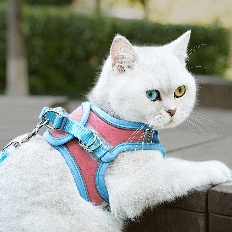 Cat Luminous Harness