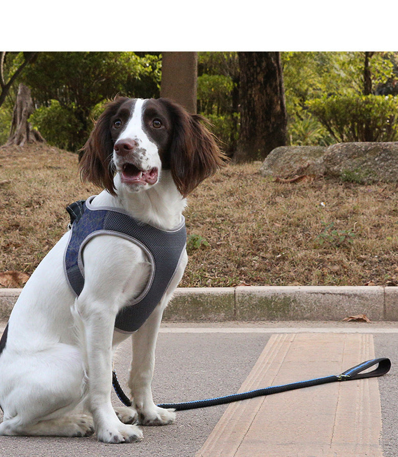 Dog Harness