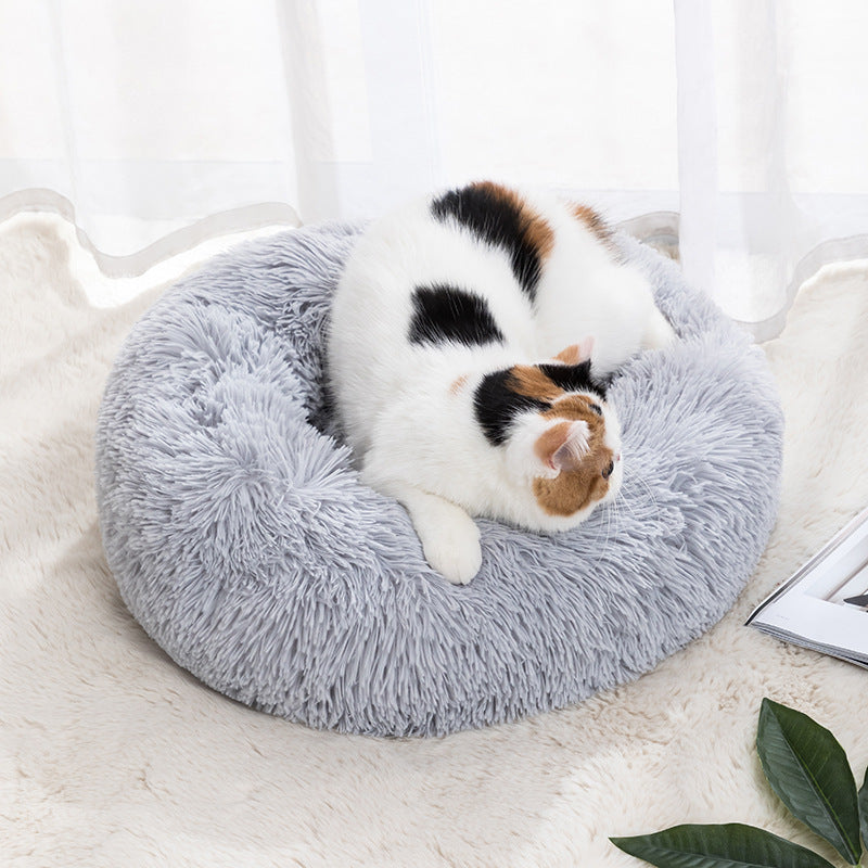 Cat Bed
