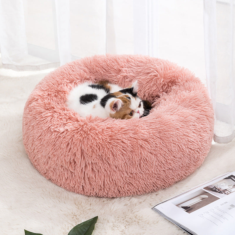 Cat Bed