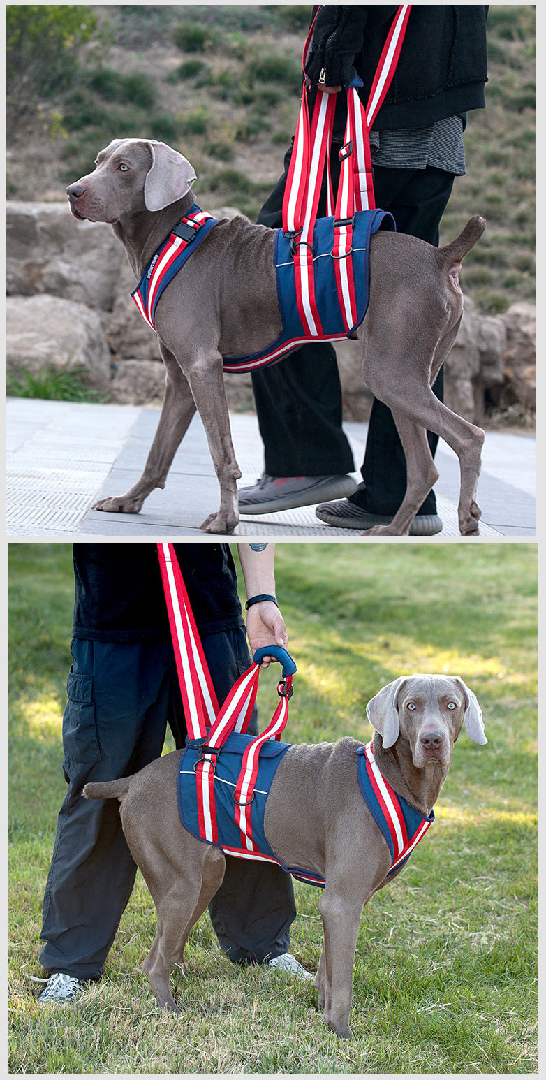 Elderly Dogs Harness