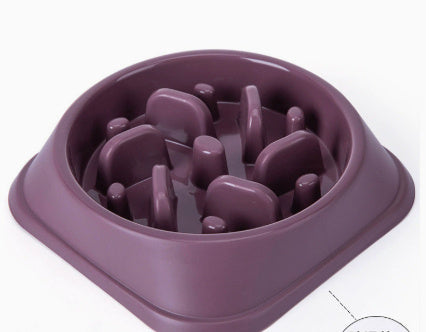 Pet Slow Feeding Bowl