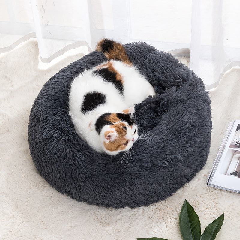 Cat Bed