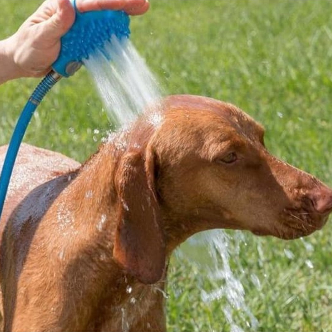 Silicone Handheld Shower Brush