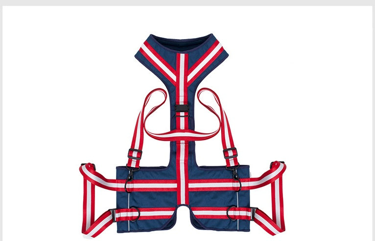 Elderly Dogs Harness