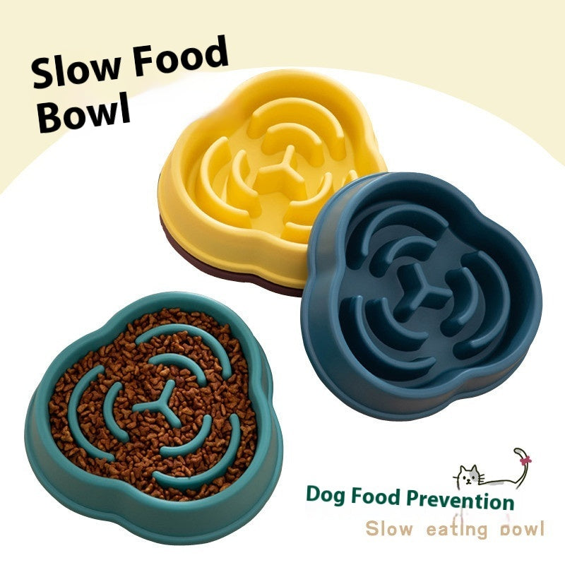 Pet Slow Feeding Bowl