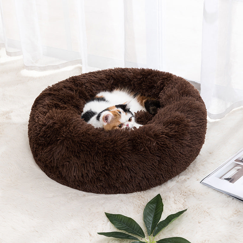 Cat Bed