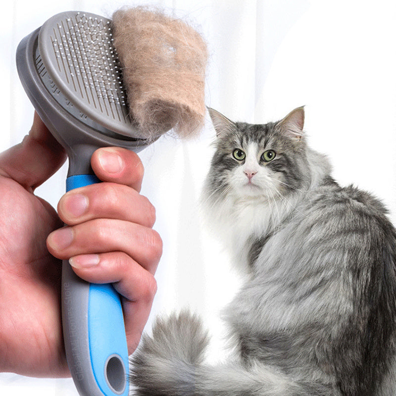 Steel Needle Pet Brush