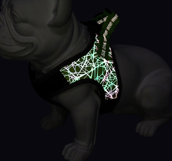 Dog Harness