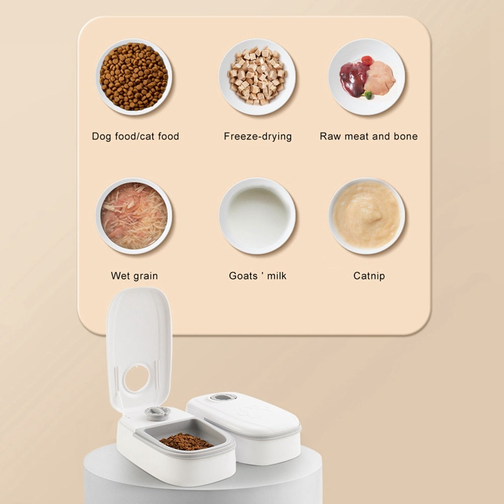 Food Dispenser with Timer