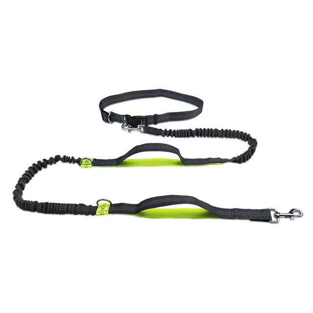 Jogging Adjustable Leash