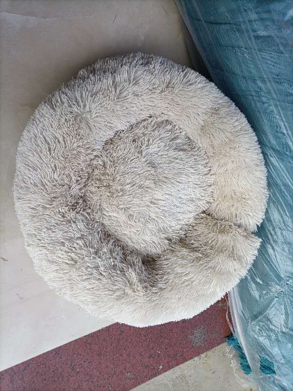 Pet bed