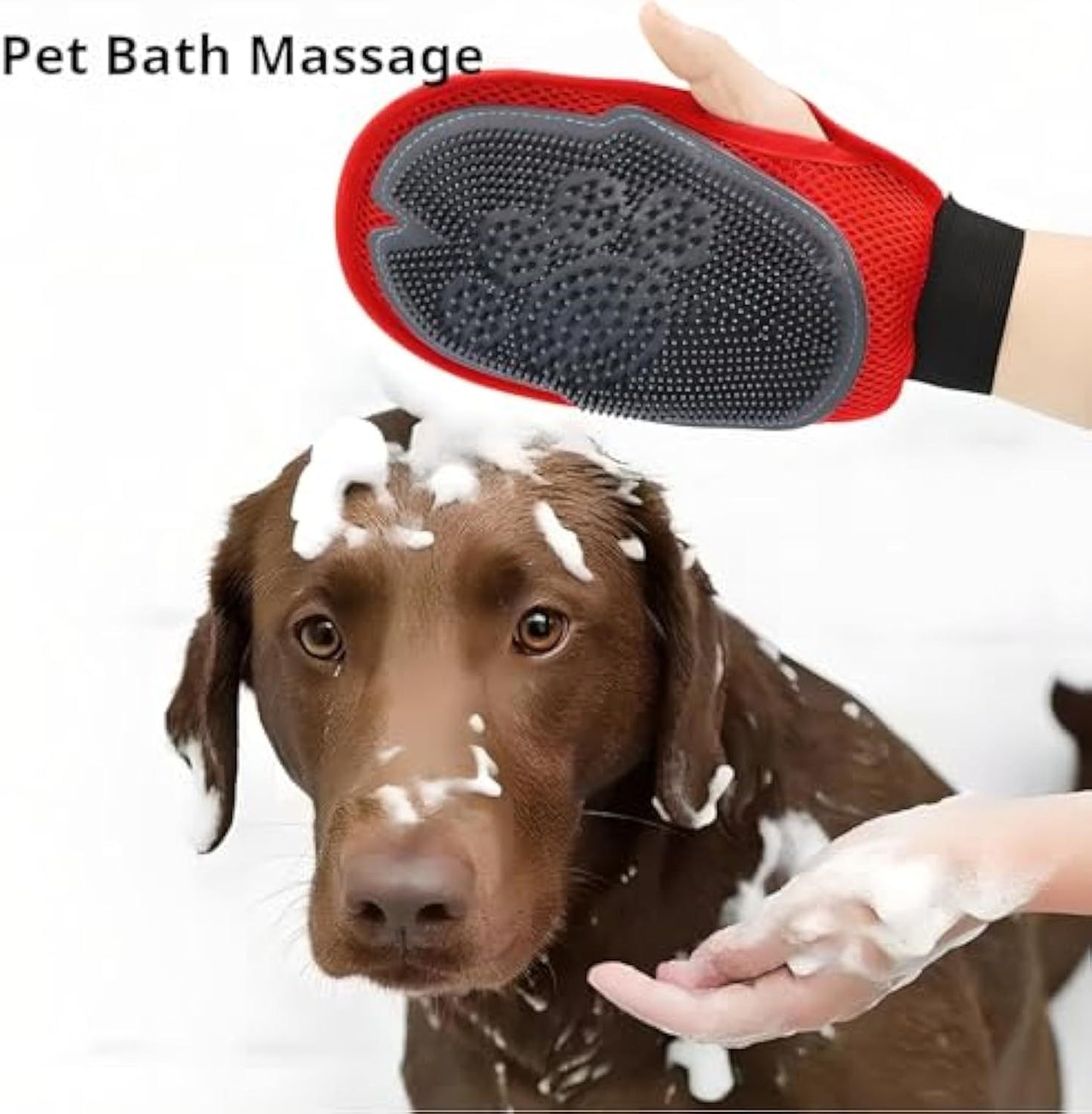 Grooming Glove