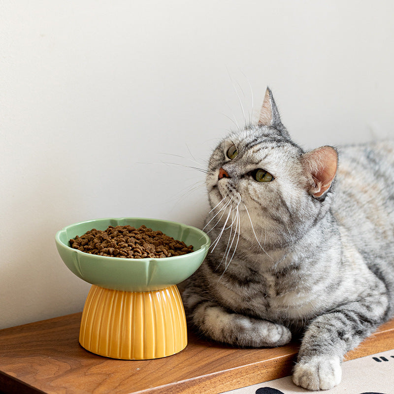 Ceramic Feeding Bowl