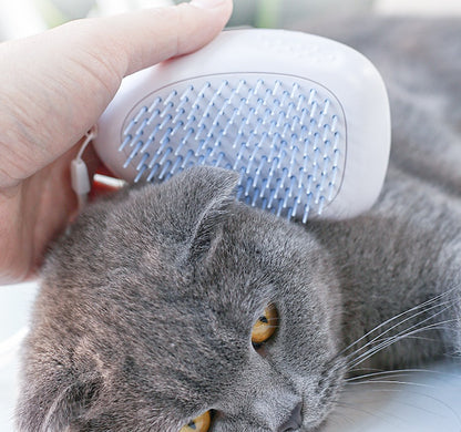 Cat Hair Bursh