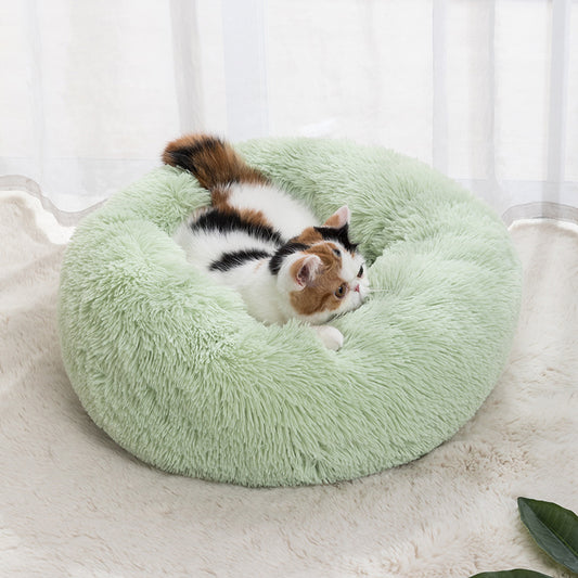 Cat Bed
