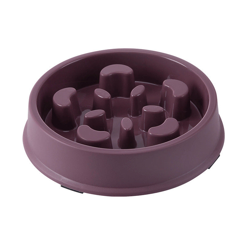 Slow Feeding Pet Bowl