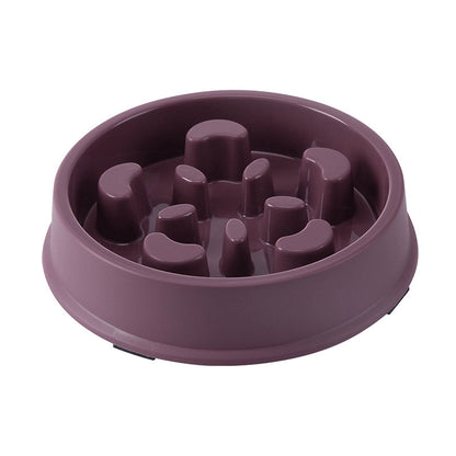 Slow Feeding Pet Bowl