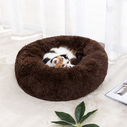 Cat Bed